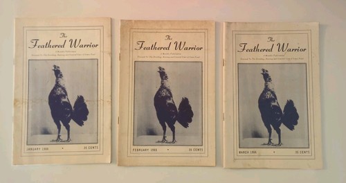Vintage the feathered - vintage, "the