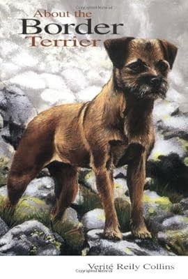 About the border - border, terrier