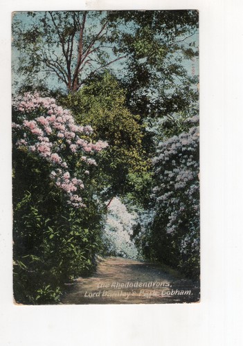 Kevii park cobham - cobham, postcard
