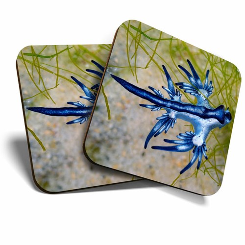 Coasters blue dragon - 2,