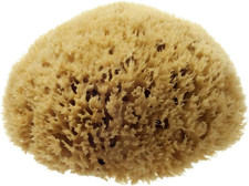 Natural Sea Sponge 4-4.5"-