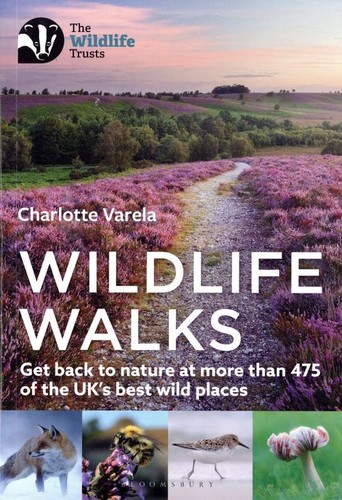 Wildlife walks - wildlife,