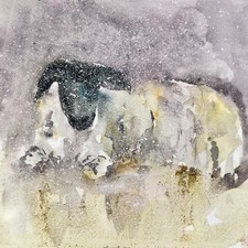 Original Sheep Watercolour
