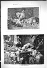 Original Old Antique Print 1877 Puppies At Home Dogs Pets Animals On Guard 19th