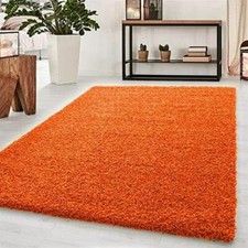 Thick Large Shaggy Rugs