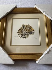 Stephen Gayford Mother Jaguar