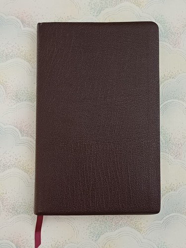 Wbtc holy bible easy - to, read