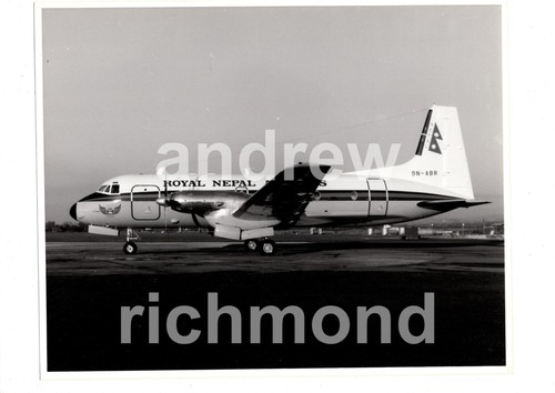 Abr royal nepal hawker - nepal,