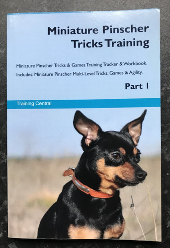 Miniature pinscher tricks - miniature,