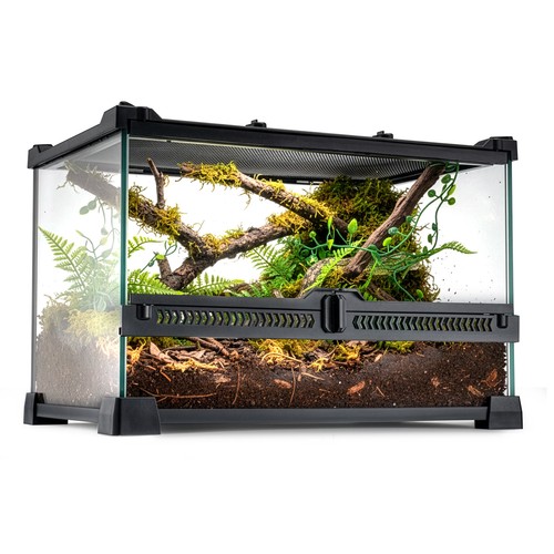 Glass reptile terrarium - glass, insect