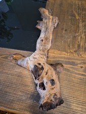 Aquarium bogwood drift wooden - aquarium,