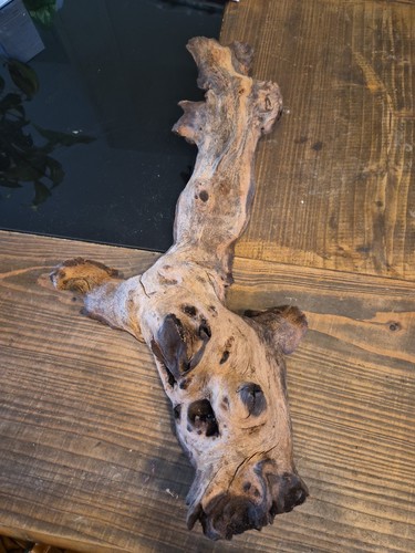 Aquarium bogwood drift wooden - bogwood,