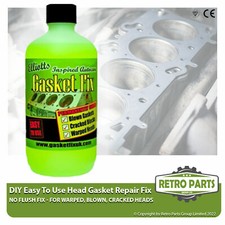 Pro Head Gasket Leak Repair
