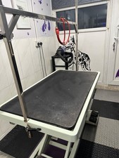 electric dog grooming table