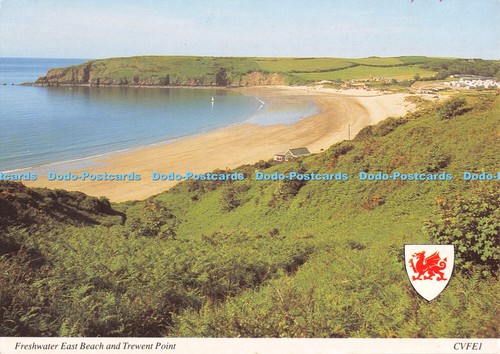 D045735 freshwater east beach - freshwater,