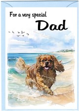 Cavalier King Charles Spaniel