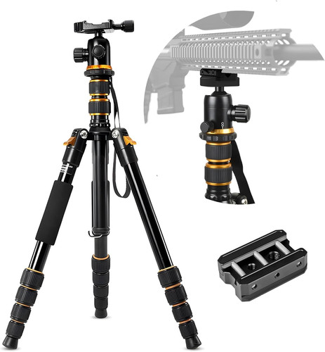 Rifle tripod shooting - rifle, stick