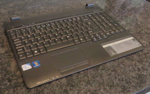 Genuine acer extensa - acer,