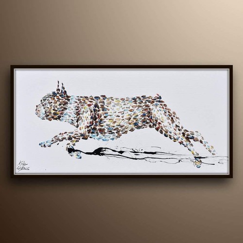 Boston terrier animal - terrier,