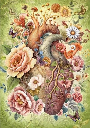 Cherry pazzi love - pazzi,
