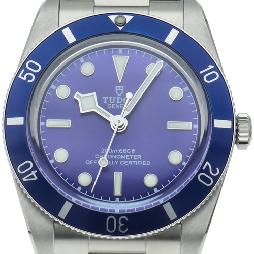 Tudor black bay - bay, 54