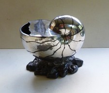 Antique Nautilus Shell Spoon Warmer Silver Plated Atkin Brothers Sheffield