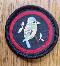 GirlGuiding Old Bluetit Guide