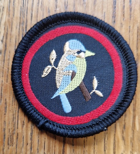 Girlguiding old bluetit guide - girlguiding,