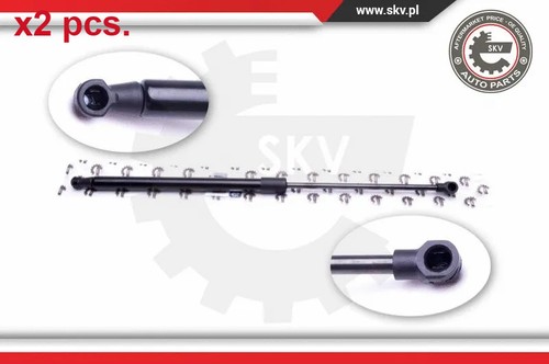Pcs taile gate gas - gas, springs