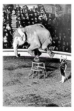 pt7309 - Blackpool Tower 