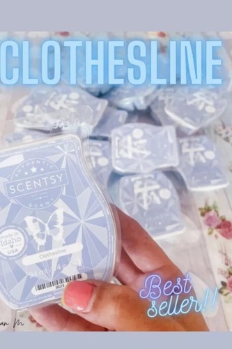 Clothesline scentsy wax bar - , x