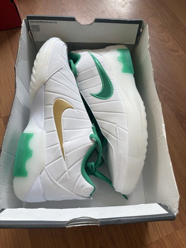 Nike lebron witness trainers - nike,