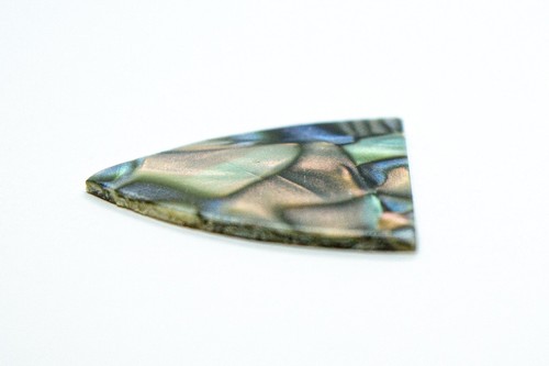 Abalone blank - abalone,