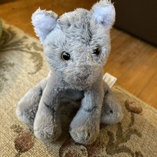 Adorable Yomiko Grey Tabby