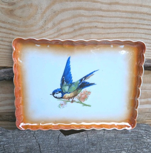 Vintage victoria china - vintage,