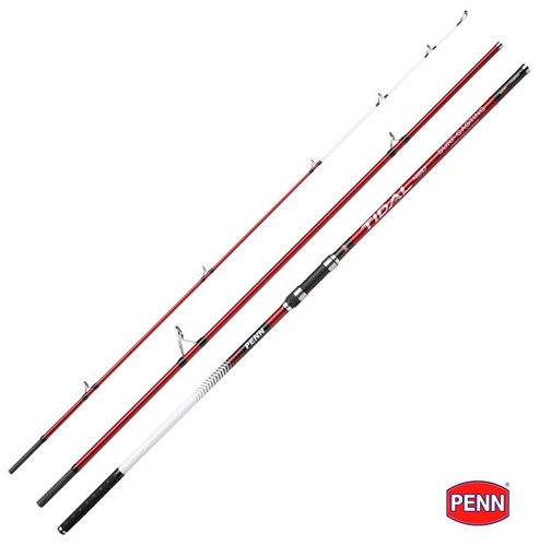 Penn tidal surfcasting beach - surfcasting,