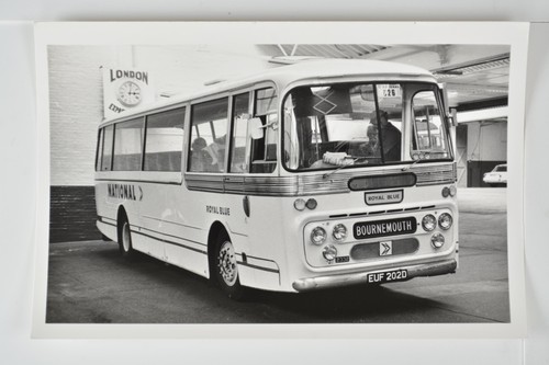 Royal blue national coach - blue,
