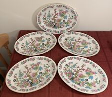 5 Salisbury Bone China Indian Tree Oval Steak Plates 