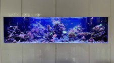 Marine Aquarium Equipment for