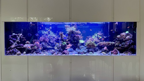 Marine aquarium equipment for - aquarium,