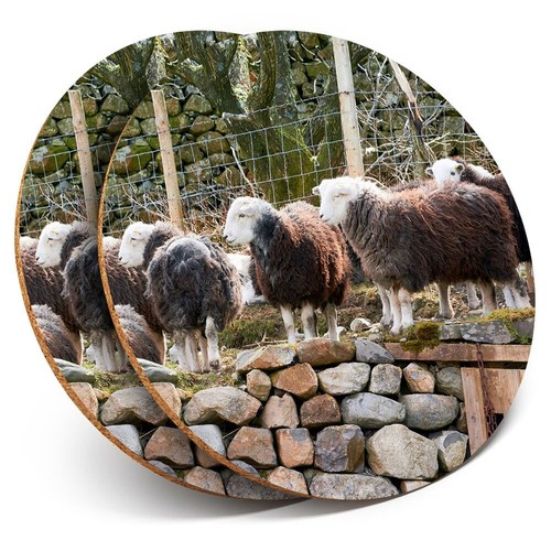 Coasters herdwick sheep - 2,