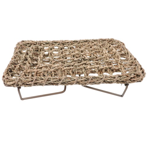 Reptile lizard lounger bed - reptile,