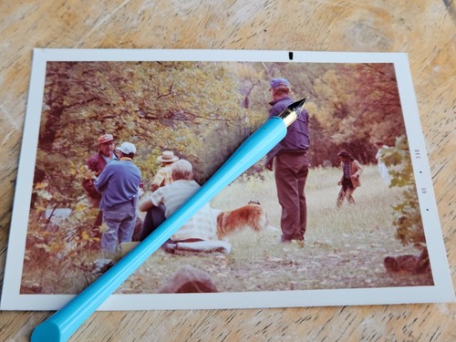 Vintage lassie collie - vintage,