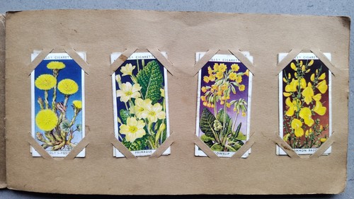 Wills cigarette cards wild - cigarette,