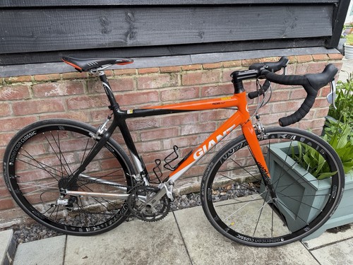 Giant tcr medium american - tcr, ao