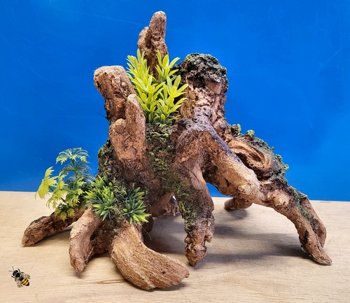 Driftwood root plants - driftwood, aquarium