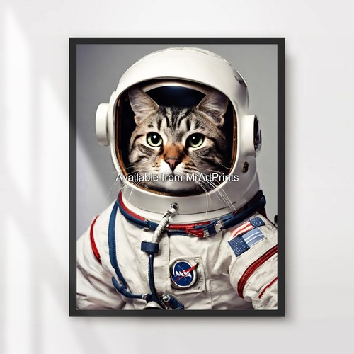 Cat astronaut funny animal - cat,