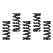 APICO CLUTCH SPRINGS HONDA