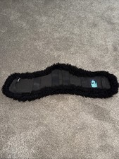 Numed Griffin Anatomical