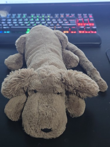 Retired medium henry hound - ,